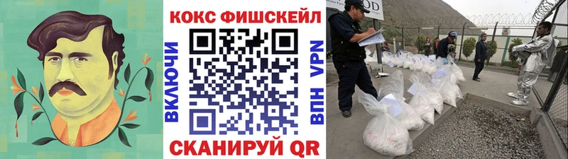 Кокаин Fish Scale  Электроугли 