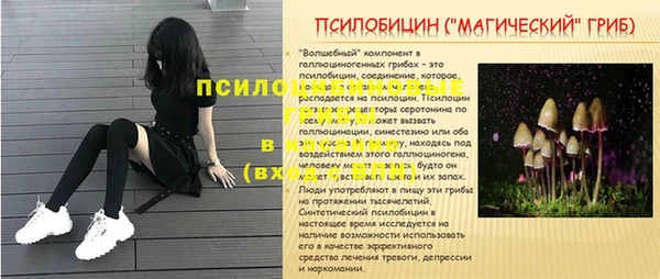 COCAINE Белокуриха